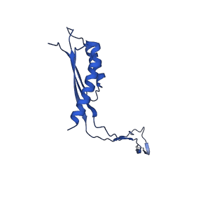 30351_7cg7_N_v1-2
Cryo-EM structure of the flagellar MS ring with C34 symmetry from Salmonella