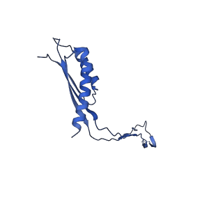 30351_7cg7_O_v1-2
Cryo-EM structure of the flagellar MS ring with C34 symmetry from Salmonella