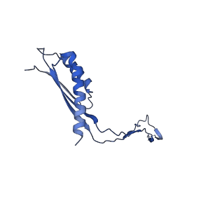 30351_7cg7_P_v1-2
Cryo-EM structure of the flagellar MS ring with C34 symmetry from Salmonella