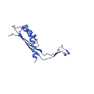 30351_7cg7_Q_v1-2
Cryo-EM structure of the flagellar MS ring with C34 symmetry from Salmonella