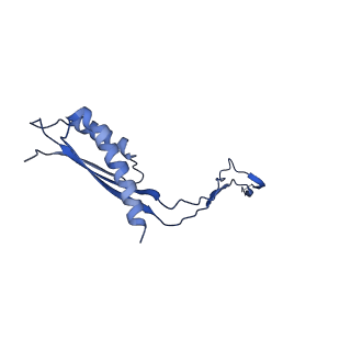 30351_7cg7_R_v1-2
Cryo-EM structure of the flagellar MS ring with C34 symmetry from Salmonella