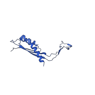 30351_7cg7_S_v1-2
Cryo-EM structure of the flagellar MS ring with C34 symmetry from Salmonella