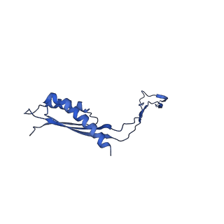 30351_7cg7_T_v1-2
Cryo-EM structure of the flagellar MS ring with C34 symmetry from Salmonella