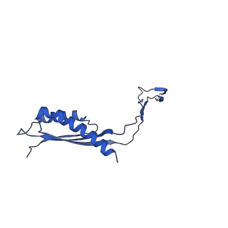 30351_7cg7_U_v1-2
Cryo-EM structure of the flagellar MS ring with C34 symmetry from Salmonella