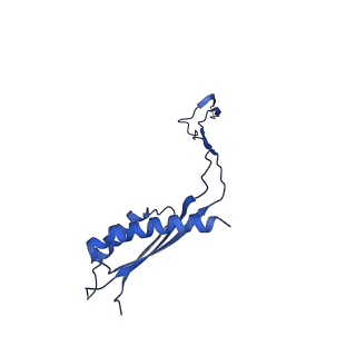 30351_7cg7_Y_v1-2
Cryo-EM structure of the flagellar MS ring with C34 symmetry from Salmonella