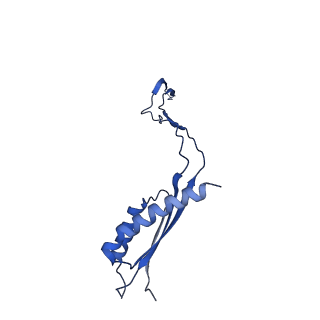 30351_7cg7_a_v1-2
Cryo-EM structure of the flagellar MS ring with C34 symmetry from Salmonella