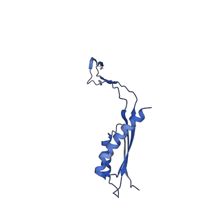 30351_7cg7_c_v1-2
Cryo-EM structure of the flagellar MS ring with C34 symmetry from Salmonella