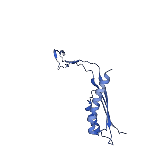 30351_7cg7_e_v1-2
Cryo-EM structure of the flagellar MS ring with C34 symmetry from Salmonella