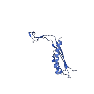 30351_7cg7_f_v1-2
Cryo-EM structure of the flagellar MS ring with C34 symmetry from Salmonella