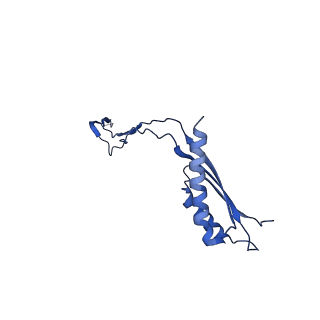 30351_7cg7_g_v1-2
Cryo-EM structure of the flagellar MS ring with C34 symmetry from Salmonella