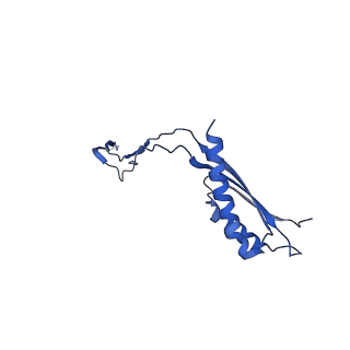 30351_7cg7_h_v1-2
Cryo-EM structure of the flagellar MS ring with C34 symmetry from Salmonella