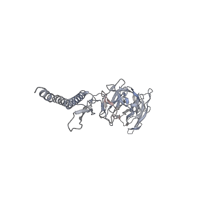30354_7cgb_DL_v1-2
Cryo-EM structure of the flagellar hook from Salmonella