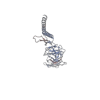 30354_7cgb_DM_v1-2
Cryo-EM structure of the flagellar hook from Salmonella