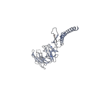 30354_7cgb_DN_v1-2
Cryo-EM structure of the flagellar hook from Salmonella
