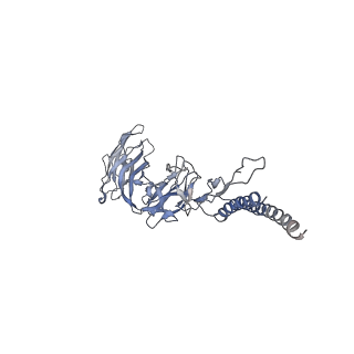 30354_7cgb_DO_v1-2
Cryo-EM structure of the flagellar hook from Salmonella