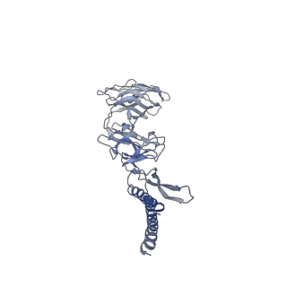 30354_7cgb_DP_v1-2
Cryo-EM structure of the flagellar hook from Salmonella
