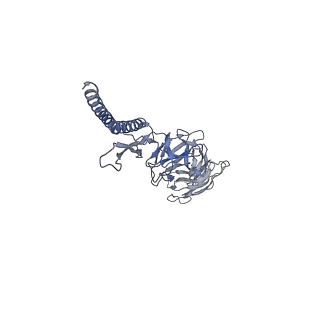 30354_7cgb_DR_v1-2
Cryo-EM structure of the flagellar hook from Salmonella