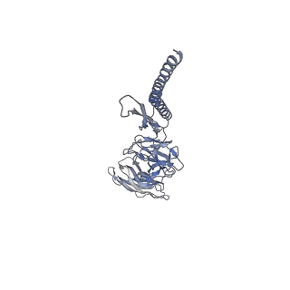 30354_7cgb_DS_v1-2
Cryo-EM structure of the flagellar hook from Salmonella