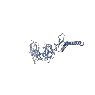 30354_7cgb_DT_v1-2
Cryo-EM structure of the flagellar hook from Salmonella
