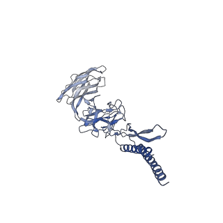 30354_7cgb_DU_v1-2
Cryo-EM structure of the flagellar hook from Salmonella