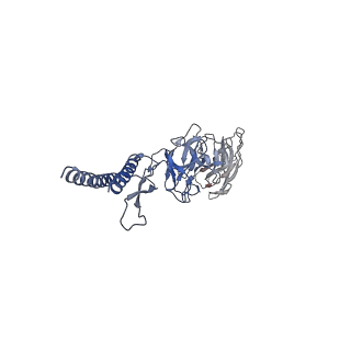 30354_7cgb_DW_v1-2
Cryo-EM structure of the flagellar hook from Salmonella