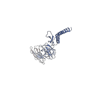 30354_7cgb_DY_v1-2
Cryo-EM structure of the flagellar hook from Salmonella