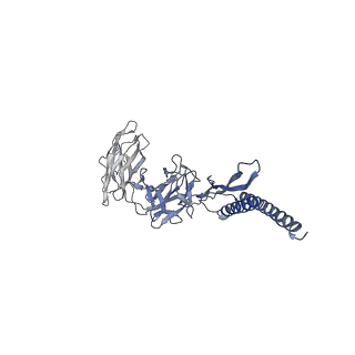 30354_7cgb_DZ_v1-2
Cryo-EM structure of the flagellar hook from Salmonella