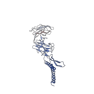30354_7cgb_EA_v1-2
Cryo-EM structure of the flagellar hook from Salmonella