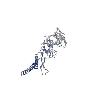 30354_7cgb_EB_v1-2
Cryo-EM structure of the flagellar hook from Salmonella