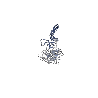 30354_7cgb_ED_v1-2
Cryo-EM structure of the flagellar hook from Salmonella