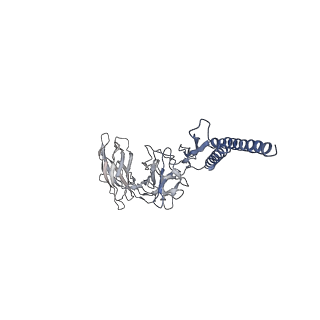30354_7cgb_EE_v1-2
Cryo-EM structure of the flagellar hook from Salmonella
