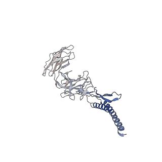 30354_7cgb_EF_v1-2
Cryo-EM structure of the flagellar hook from Salmonella