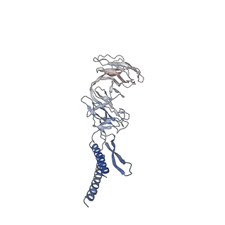 30354_7cgb_EG_v1-2
Cryo-EM structure of the flagellar hook from Salmonella