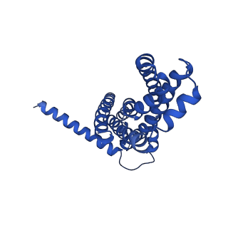 30355_7cge_A_v1-1
The overall structure of nucleotide free MlaFEDB complex