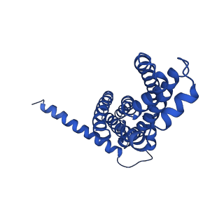 30355_7cge_A_v2-1
The overall structure of nucleotide free MlaFEDB complex