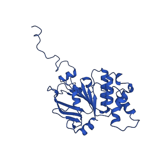 30355_7cge_B_v1-1
The overall structure of nucleotide free MlaFEDB complex