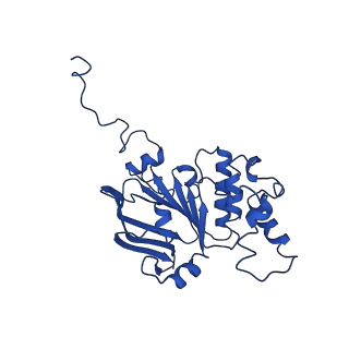 30355_7cge_B_v2-1
The overall structure of nucleotide free MlaFEDB complex