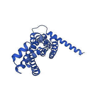 30355_7cge_D_v1-1
The overall structure of nucleotide free MlaFEDB complex