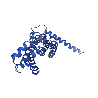 30355_7cge_D_v2-1
The overall structure of nucleotide free MlaFEDB complex
