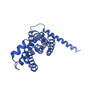 30355_7cge_D_v2-2
The overall structure of nucleotide free MlaFEDB complex