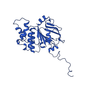 30355_7cge_E_v1-1
The overall structure of nucleotide free MlaFEDB complex