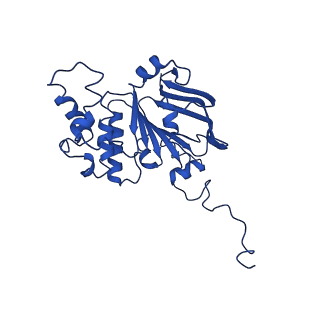 30355_7cge_E_v2-1
The overall structure of nucleotide free MlaFEDB complex