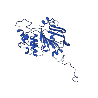 30355_7cge_E_v2-2
The overall structure of nucleotide free MlaFEDB complex