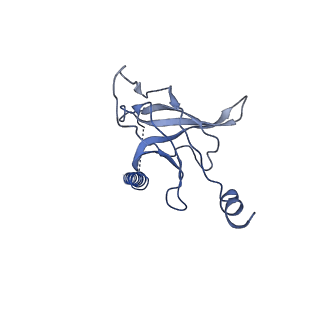 30355_7cge_J_v2-2
The overall structure of nucleotide free MlaFEDB complex