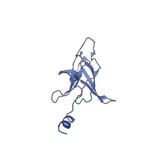 30355_7cge_K_v2-2
The overall structure of nucleotide free MlaFEDB complex