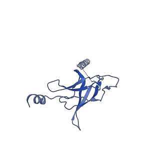 30355_7cge_L_v2-2
The overall structure of nucleotide free MlaFEDB complex