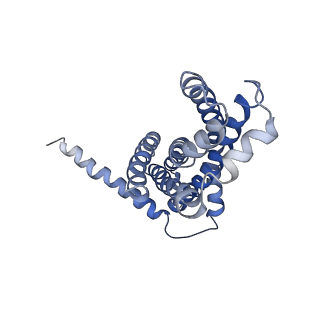 30358_7cgn_A_v2-1
The overall structure of the MlaFEDB complex in ATP-bound EQtall conformation (Mutation of E170Q on MlaF)