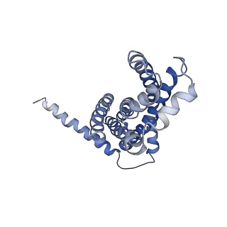 30358_7cgn_A_v2-2
The overall structure of the MlaFEDB complex in ATP-bound EQtall conformation (Mutation of E170Q on MlaF)