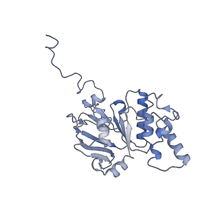 30358_7cgn_B_v1-2
The overall structure of the MlaFEDB complex in ATP-bound EQtall conformation (Mutation of E170Q on MlaF)