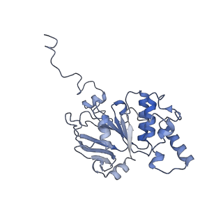 30358_7cgn_B_v2-1
The overall structure of the MlaFEDB complex in ATP-bound EQtall conformation (Mutation of E170Q on MlaF)